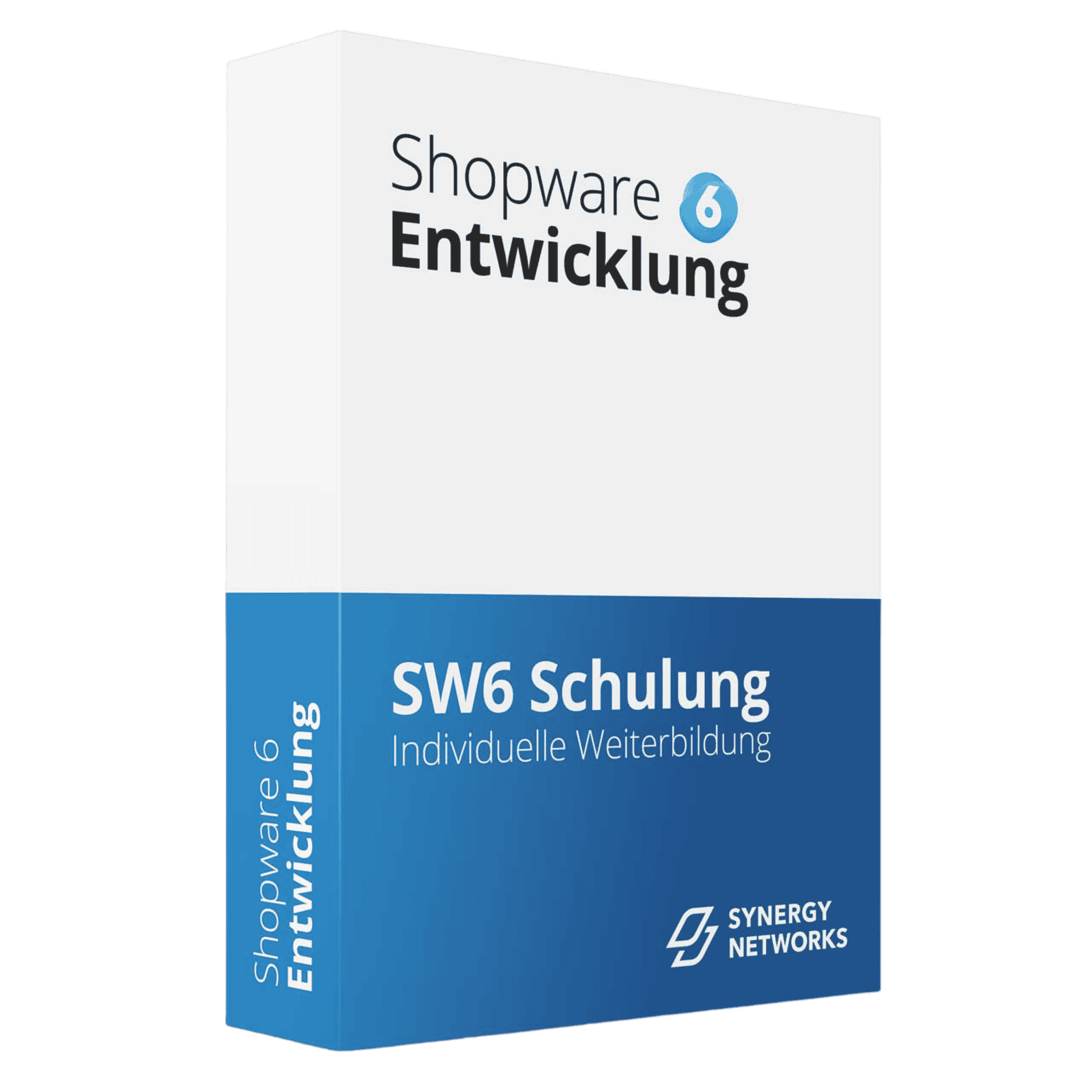 Symbolbild der Dienstleistung Shopware 6 Schulung von SYNERGY NETWORKS